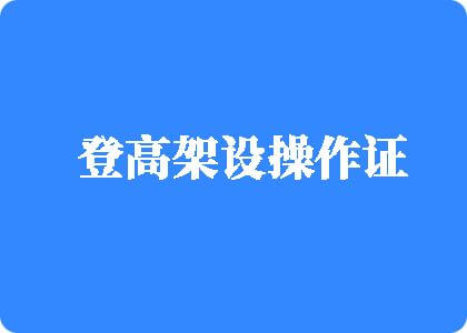 插逼无码高清技巧视频网站登高架设操作证